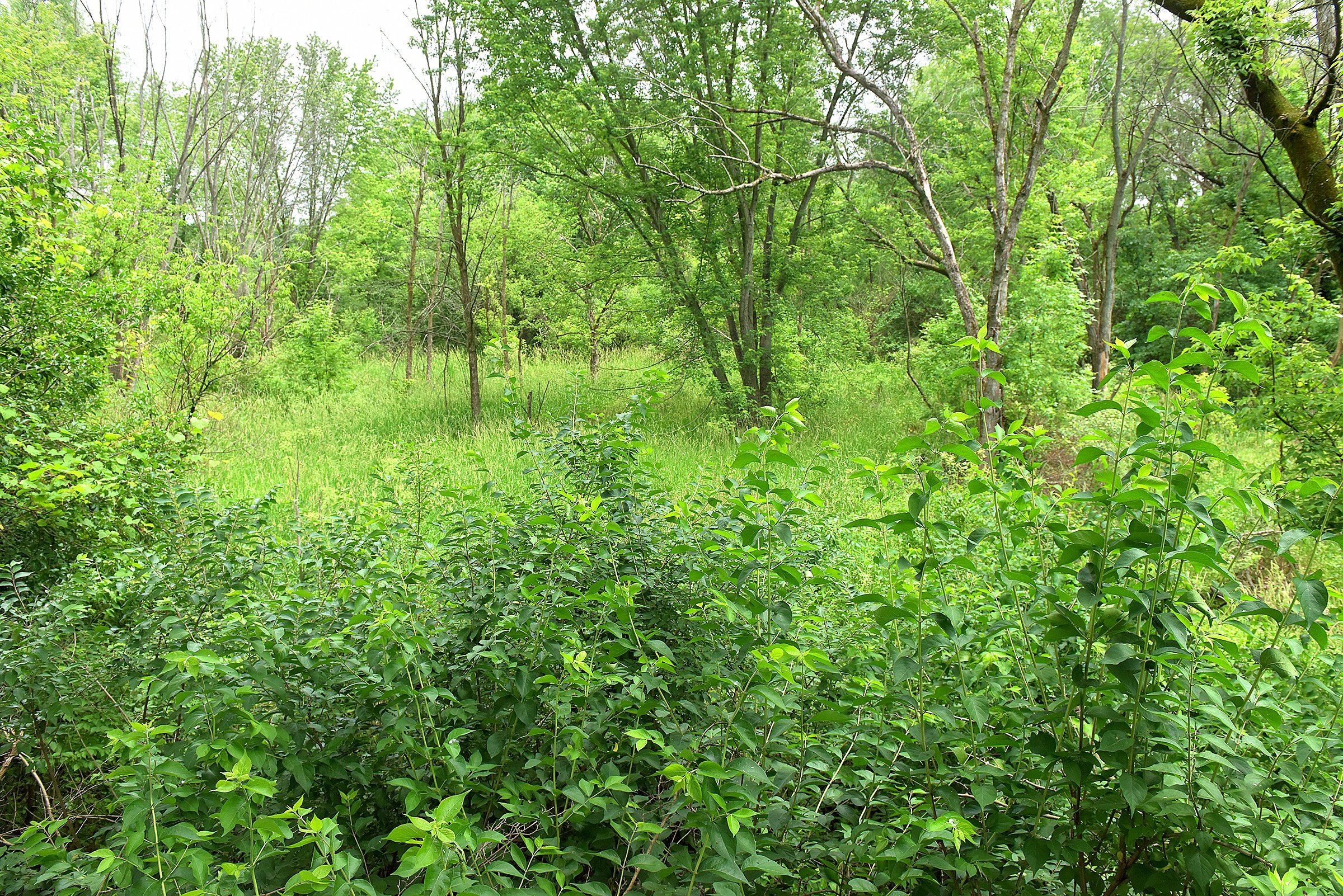 Lake County, Indiana farmland - LAND AUCTION - 147+/- ACRES OFFERED IN 3 TRACTS IN LAKE COUNTY, INDIANA